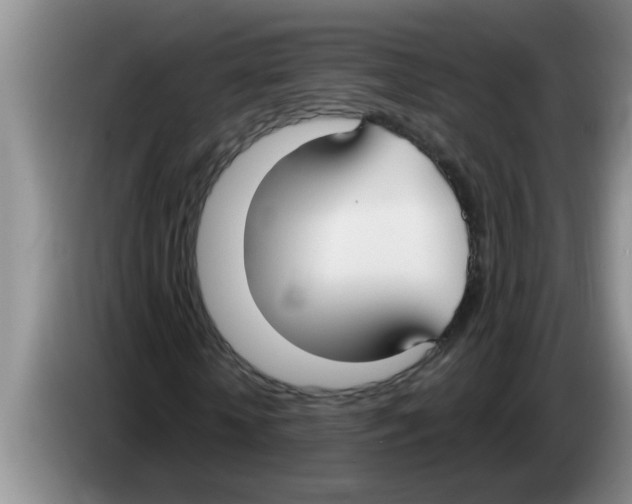 X0000083590818200703091717