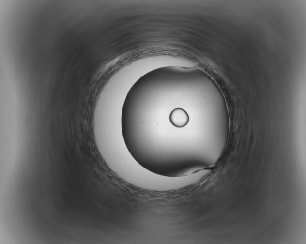 X0000083590822200703091717