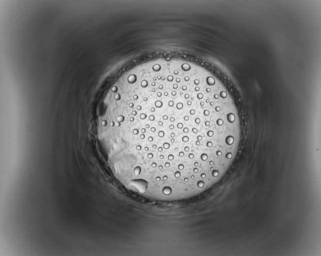 X0000083590823200703091717