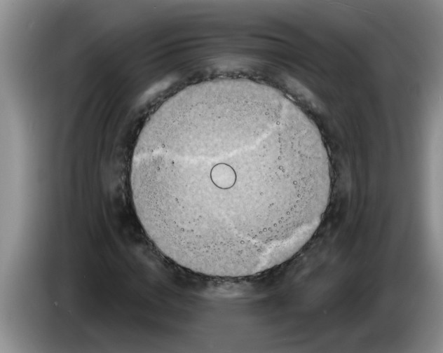 X0000083590824200703091717