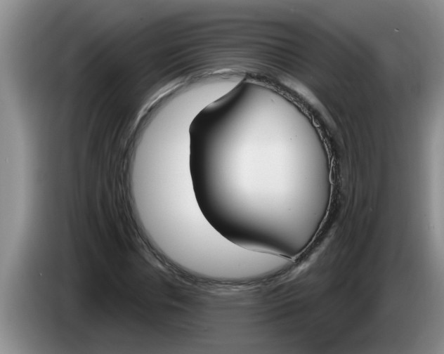 X0000083590826200703091717