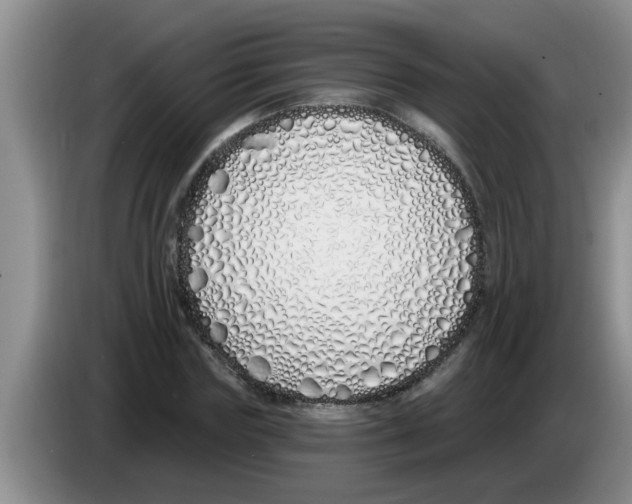 X0000083590827200703091717