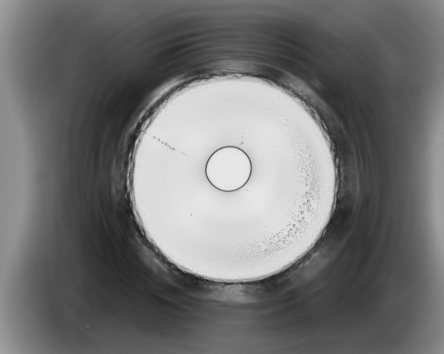 X0000083590828200703091717