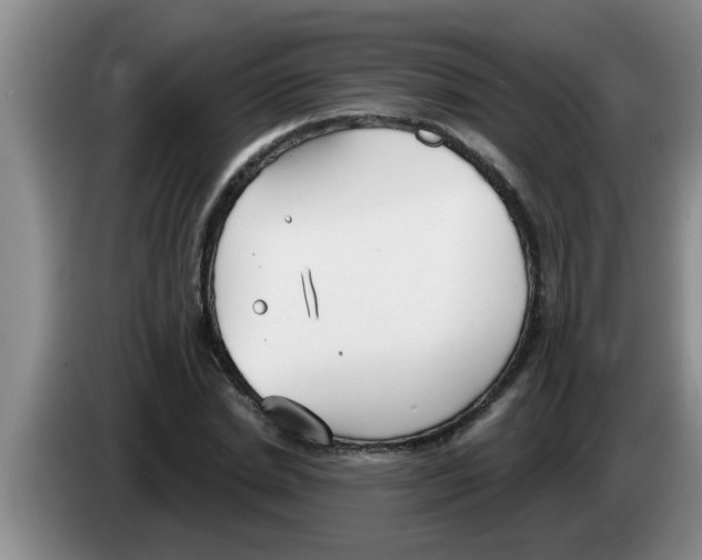 X0000083590830200703091717