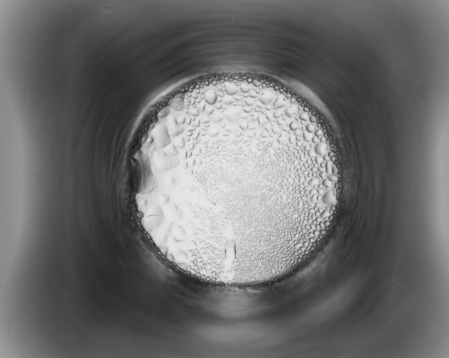 X0000083590831200703091717