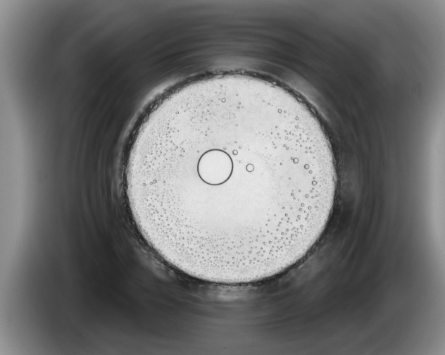 X0000083590832200703091717