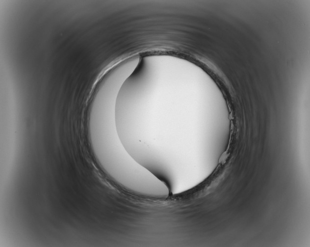 X0000083590834200703091717