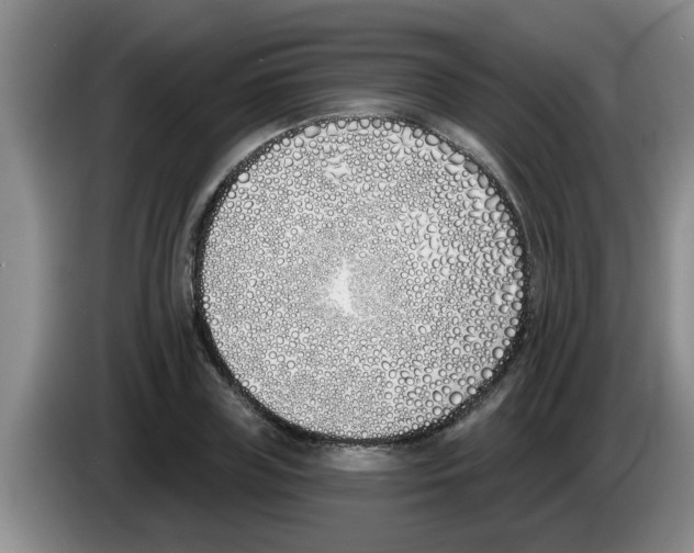 X0000083590835200703091717