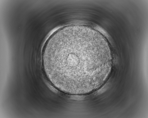 X0000083590836200703091717