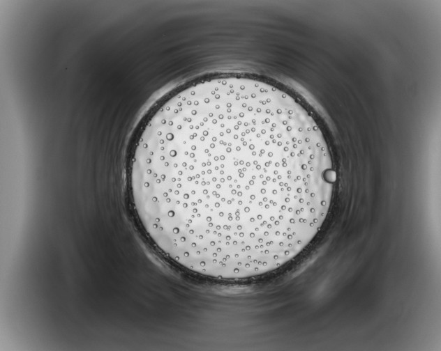 X0000083590837200703091717