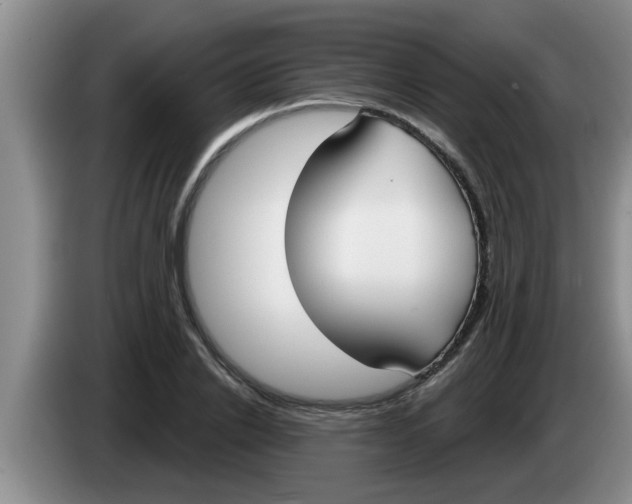 X0000083590838200703091717