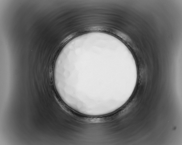 X0000083590841200703091717