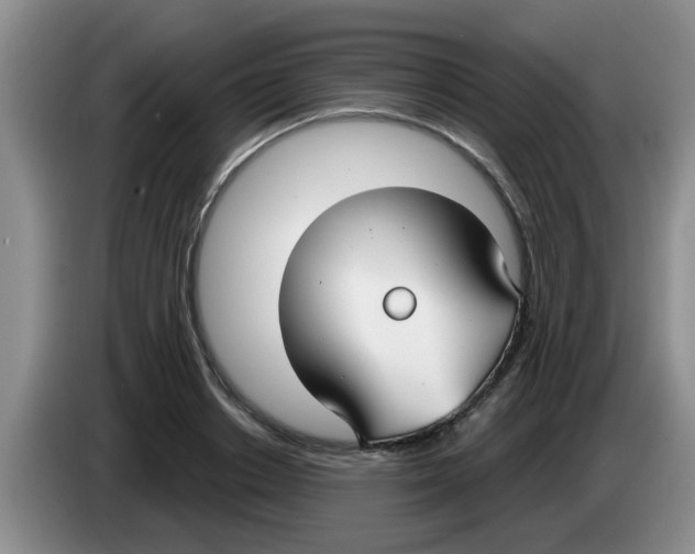 X0000083590842200703091717