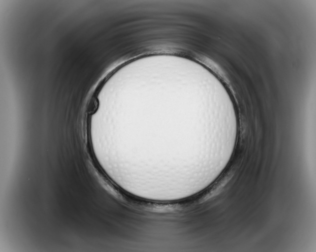 X0000083590843200703091717