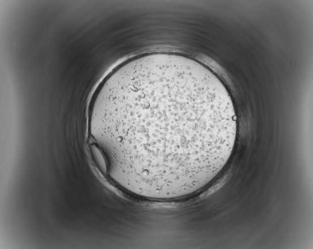 X0000083590844200703091717
