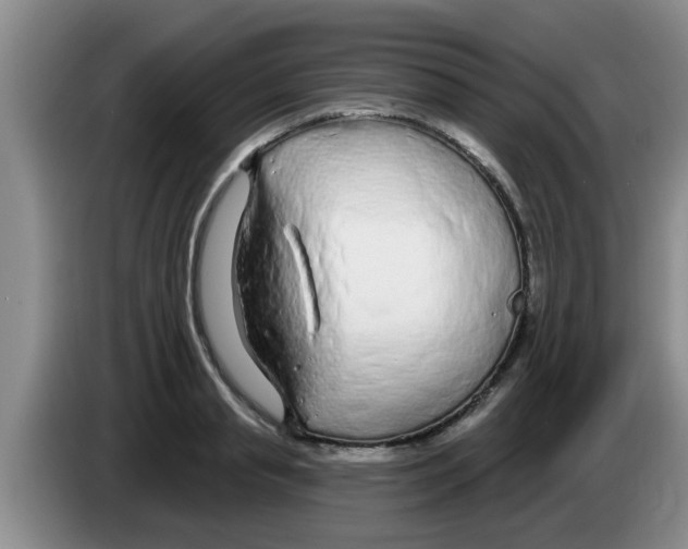 X0000083590845200703091717