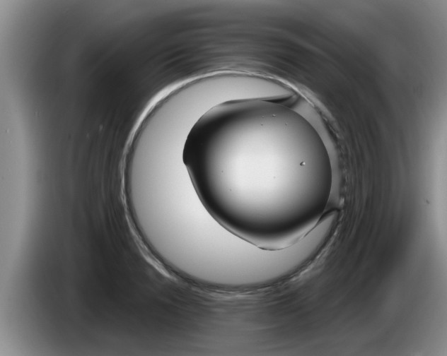 X0000083590846200703091717