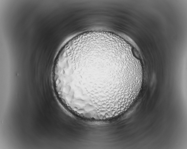 X0000083590847200703091717