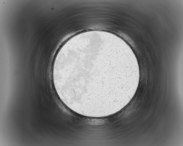 X0000083590848200703091717