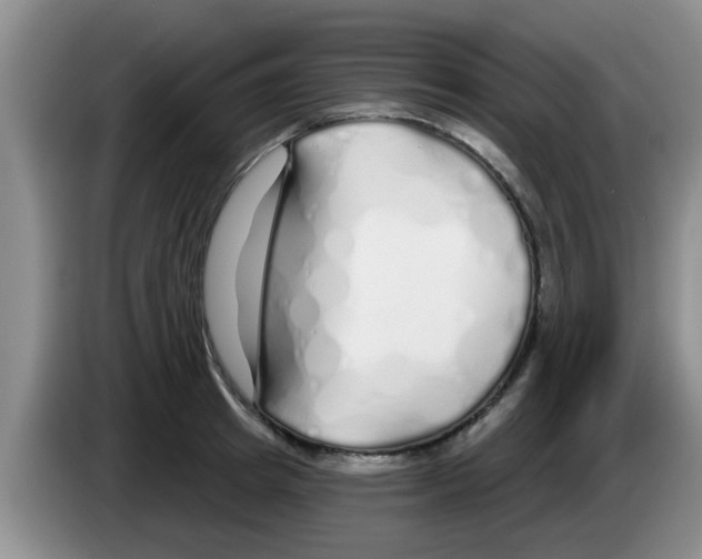 X0000083590849200703091717