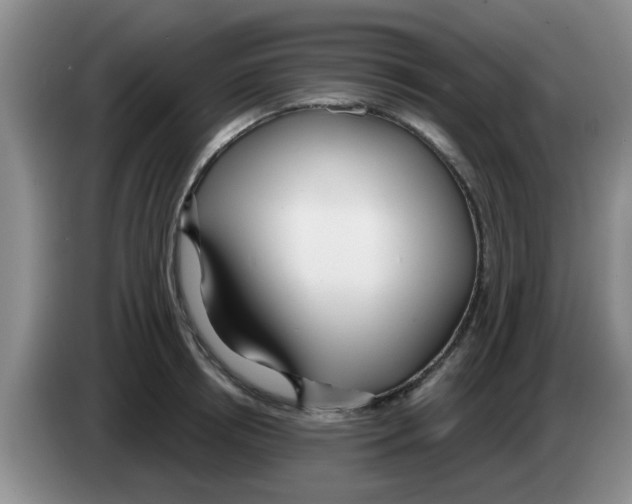 X0000083590850200703091717