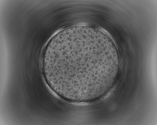 X0000083590851200703091718