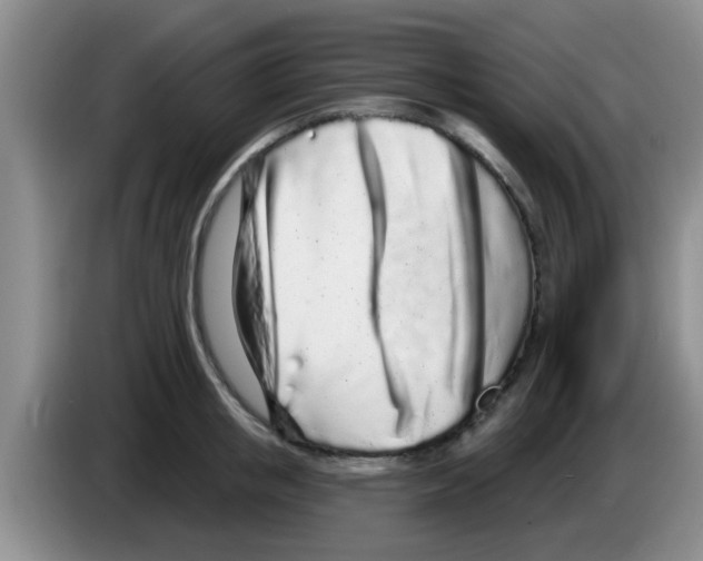 X0000083590853200703091718