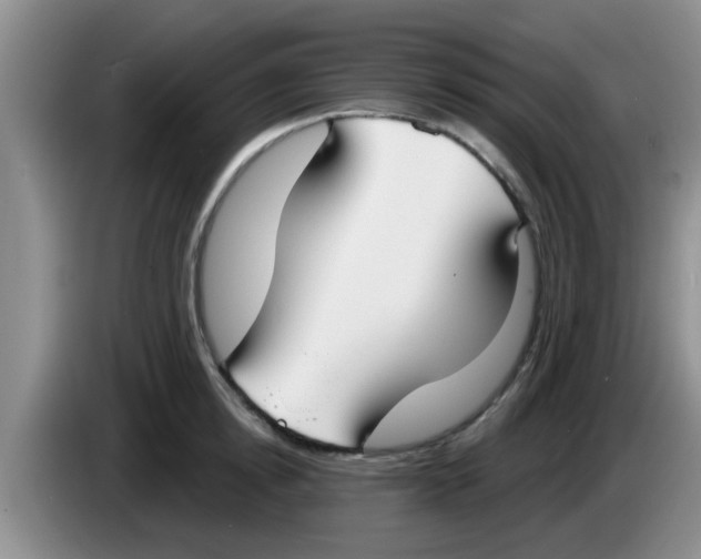 X0000083590854200703091718