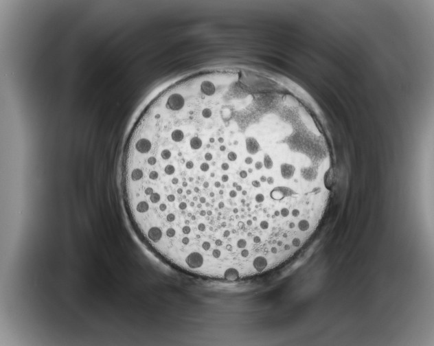X0000083590855200703091718