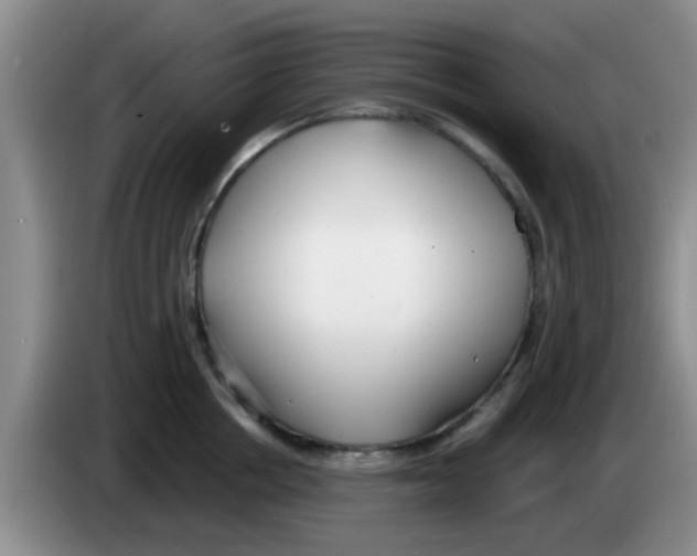 X0000083590858200703091718
