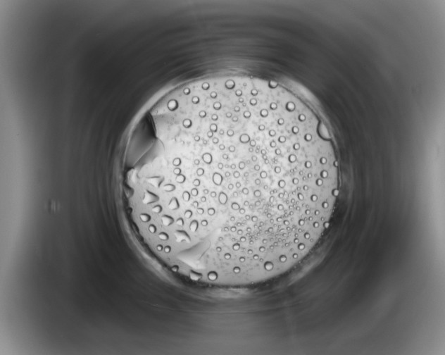 X0000083590859200703091718
