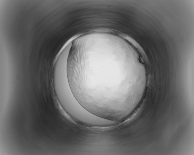 X0000083590860200703091718