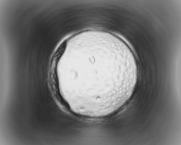 X0000083590861200703091718