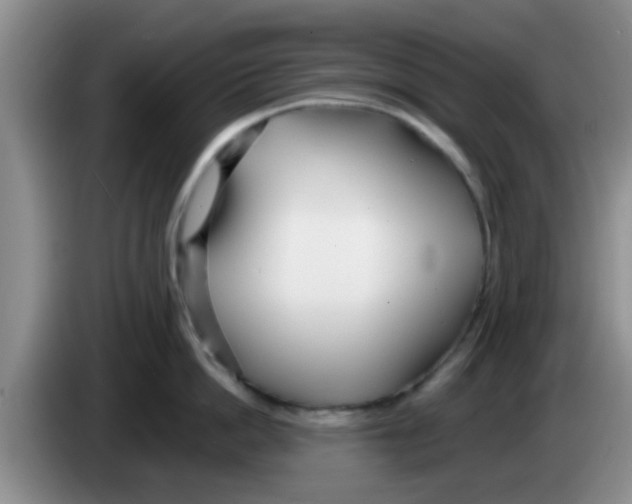X0000083590862200703091718