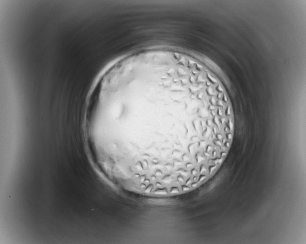 X0000083590863200703091718