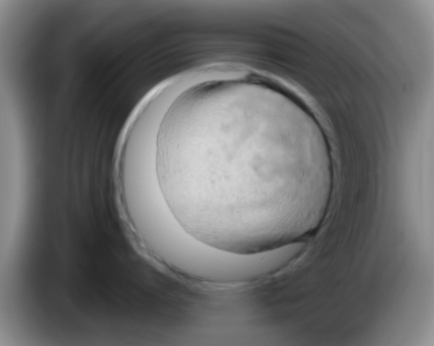 X0000083590864200703091718
