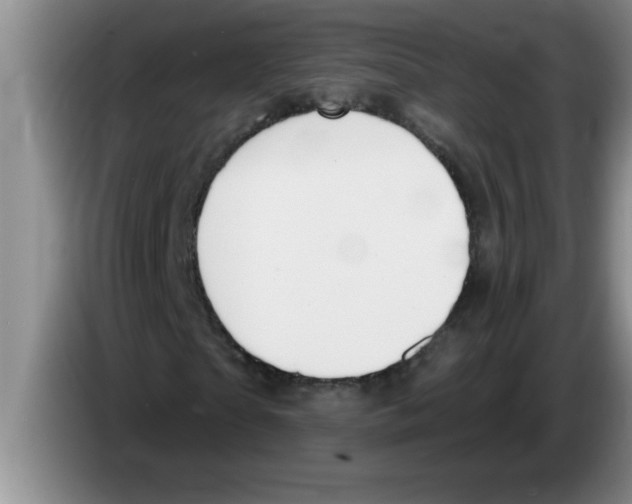 X0000083590865200703091717