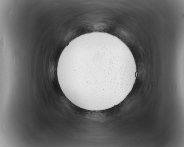X0000083590866200703091717