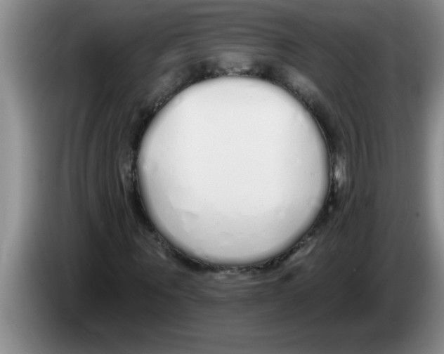 X0000083590867200703091717