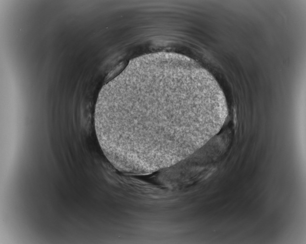 X0000083590868200703091717