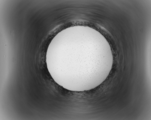 X0000083590870200703091717