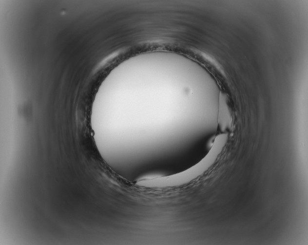 X0000083590872200703091717