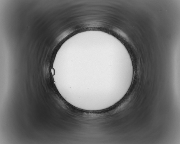 X0000083590873200703091717