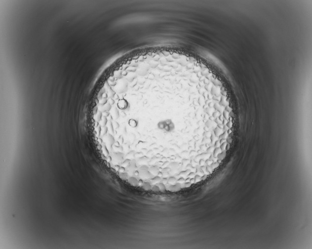 X0000083590875200703091717