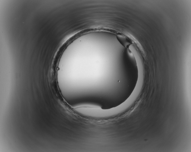 X0000083590876200703091717
