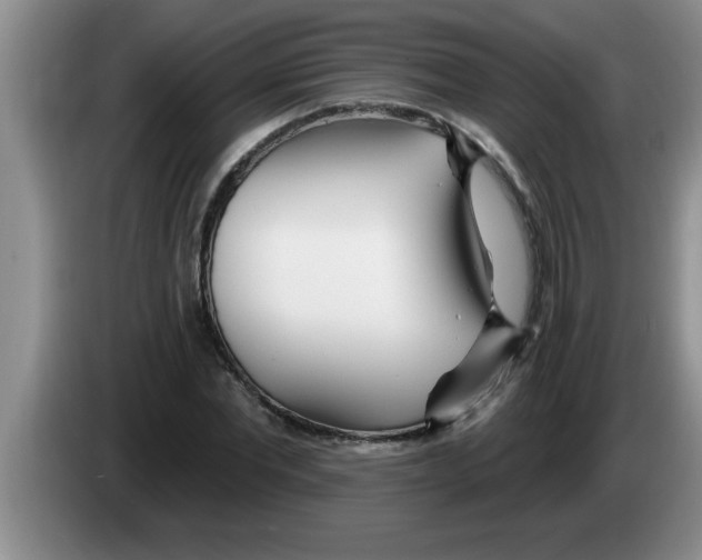 X0000083590877200703091717