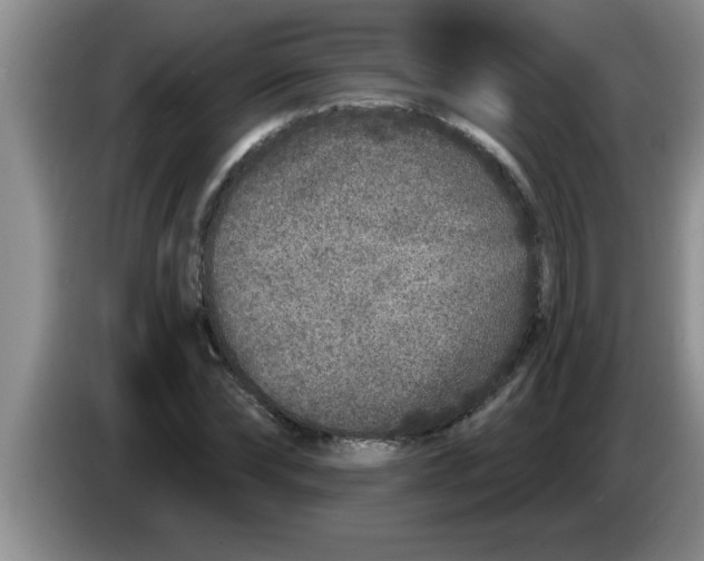 X0000083590878200703091717