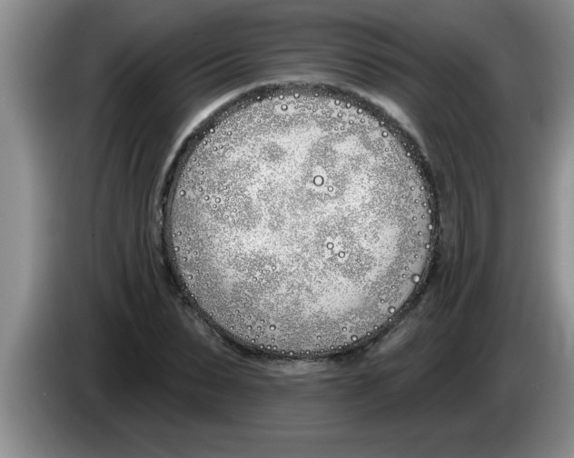 X0000083590879200703091717