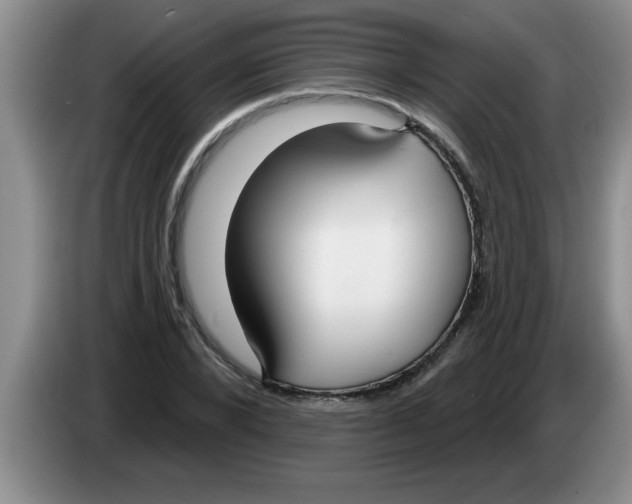 X0000083590880200703091717