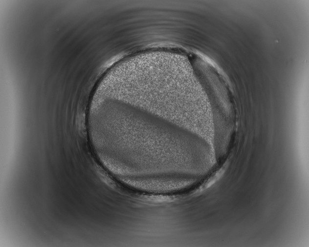 X0000083590881200703091717
